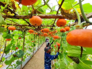 Wisata Agro dan Edukasi Kebun Buah
